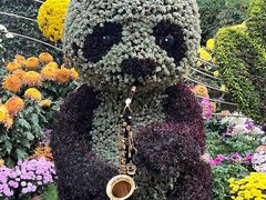 -杭州植物园
