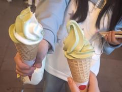 -麦丽丝红油辣椒冰淇淋(江家巷店)