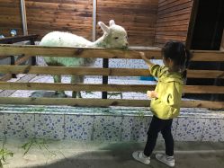 点击看大图 -可可天空农场(东部新城银泰店)