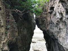 -鹅銮鼻公园