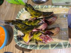 -铭记蛙小仙·活蛙畅享(CBD万达广场店)