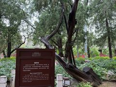 -北京市劳动人民文化宫(太庙)