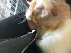 -爱侣宠医·鹦鹉专科·小型哺乳类·异宠专科(灵石路店)