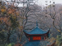 -岳麓山风景名胜区