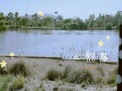 -圣地亚哥动物园