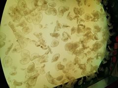 -沈阳海洋探索中心