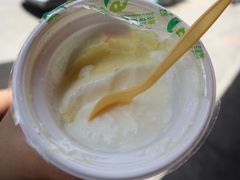 德禄酸奶-德禄酸奶(莫家街店)