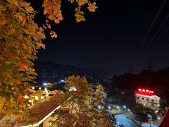 -巴倒烫陆派火锅山庄(南山总店)