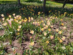 -长春公园(普阳街道)