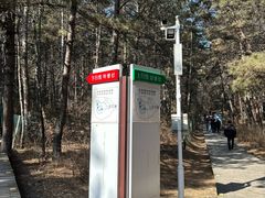 -帽儿山国家森林公园