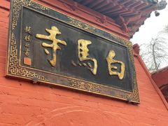-洛阳白马寺