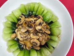 -大班家政月嫂育儿嫂(深圳NO.1店)