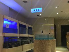 -阿庄新豫菜(航海东路店)
