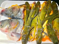 -融泽漁悦三只耳鱼火锅(南郑大道店)