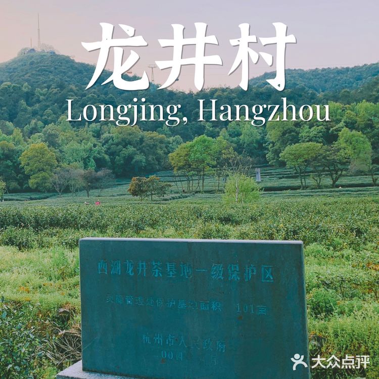杭州小众景点｜名山名村名茶——龙井村