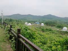-石塘人家