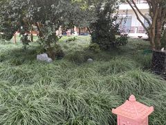 -普陀山雷迪森庄园