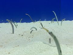 -上海海洋水族馆