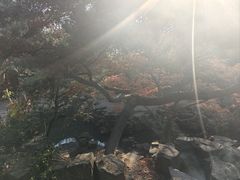 -雪花龙吊龙牛肉面(三山街店)