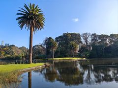 -墨尔本皇家植物园