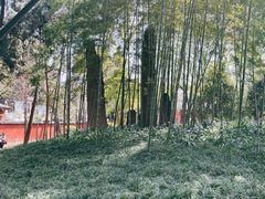 -成都武侯祠博物馆