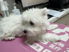 -全心全意动物诊疗中心医院(北苑店)