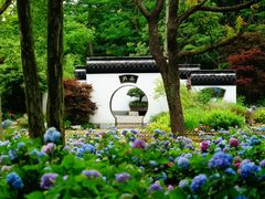 -上海共青森林公园
