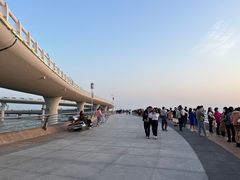 -演武大桥观景平台