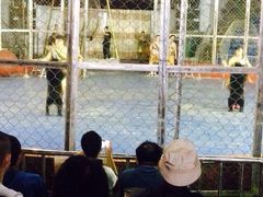 秦岭野生动物园-西安秦岭野生动物园