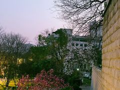 -放鹰台遗址
