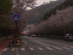 -千岛湖忆湖度假酒店(中心湖景区店)