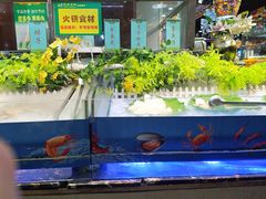 -巴犀烧烤(新崇光店)