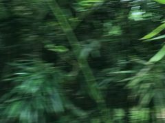 -紫竹院公园冰场