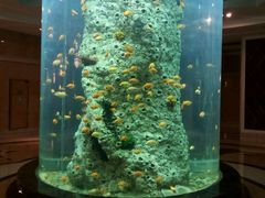 -富斯顿国际酒店自助火锅