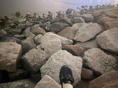 -深圳湾公园(南山区)