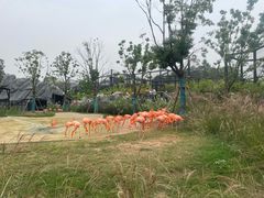 -武汉动物园