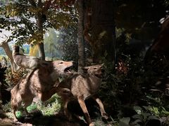 -陕西自然博物馆