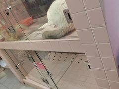 -FAELING PETS美天灵宠物(富力广场店)