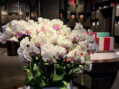 -王德传茶庄(上海新天地店)