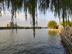 -济南大明湖景区