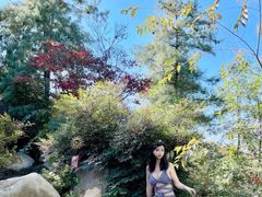 -七彩云南古滇温泉山庄