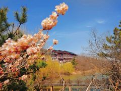 -青岛大珠山景区