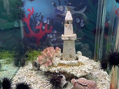 -太平洋海底世界