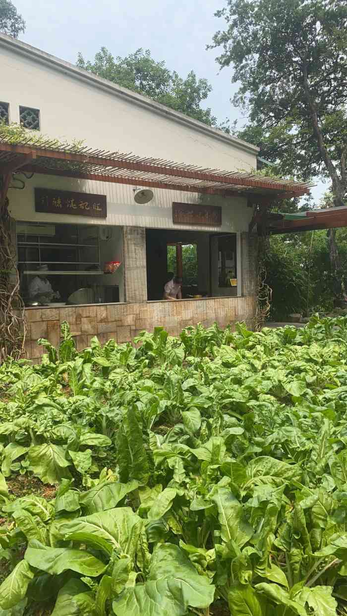近水楼台文化农庄-"这可是正宗的粤菜特别乡土味,但是特别新鲜.