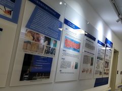 -上海市东方医院(总院)