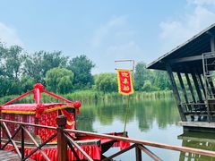 -溱湖国家湿地公园