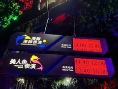 -蓬莱欧乐堡海洋极地世界