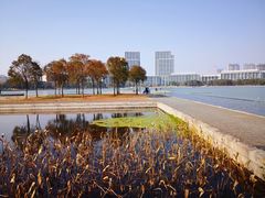 -尚贤河湿地