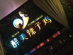-天山醉美辣子鸡(文艺路店)