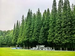 -宜兴龙背山森林公园